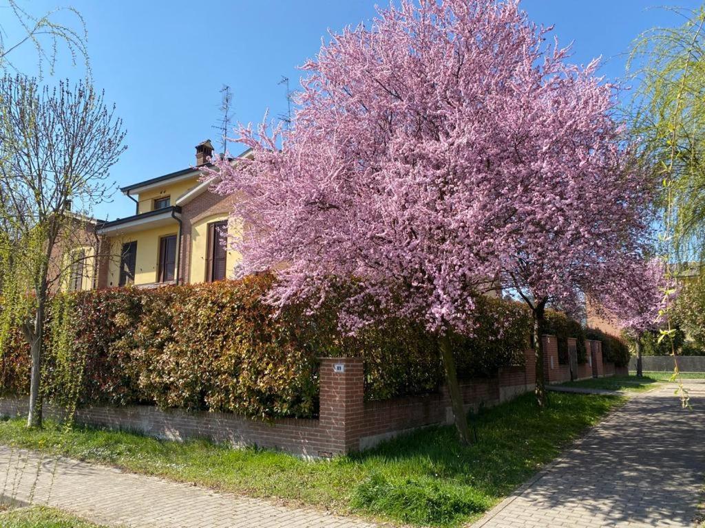 Suite Travel Home Modena Kültér fotó